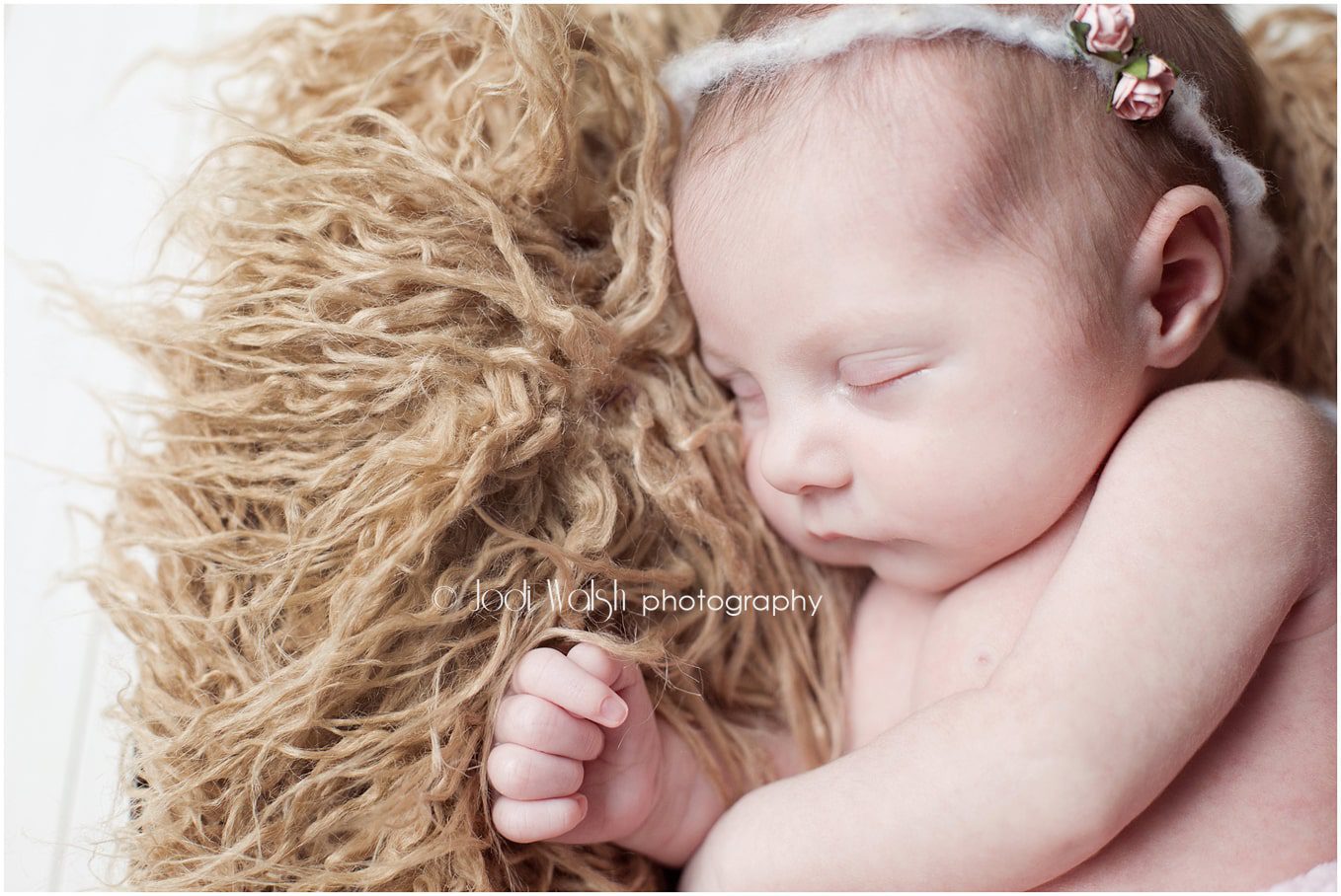 closeup of newborn girl with pink rose tie-back on caramel fur, in Erie home