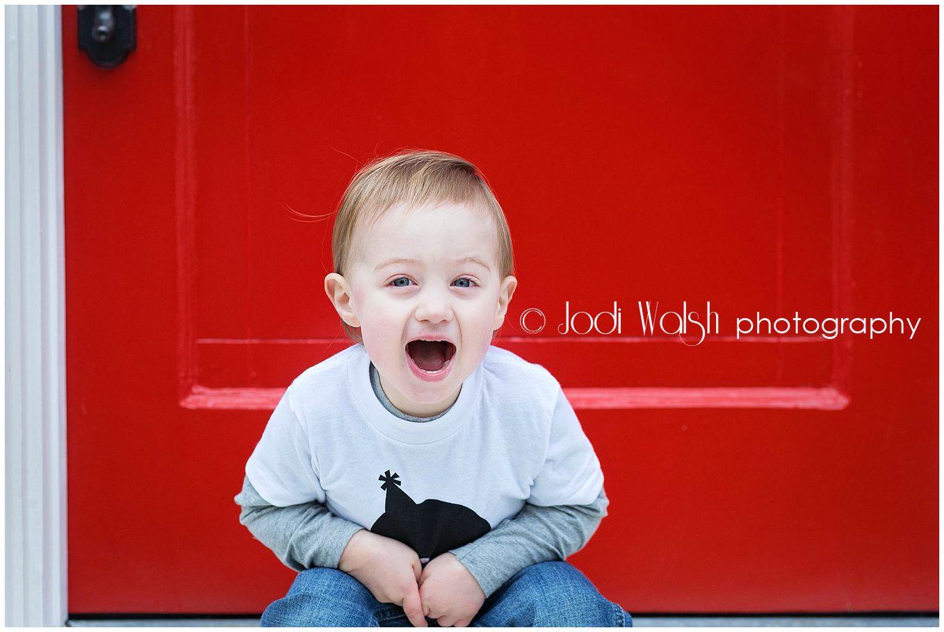2 yrs old, little boy, fall, Pittsburgh, red door