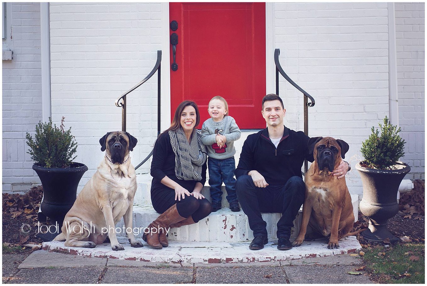 family, Pittsburgh, red door, mastiffs