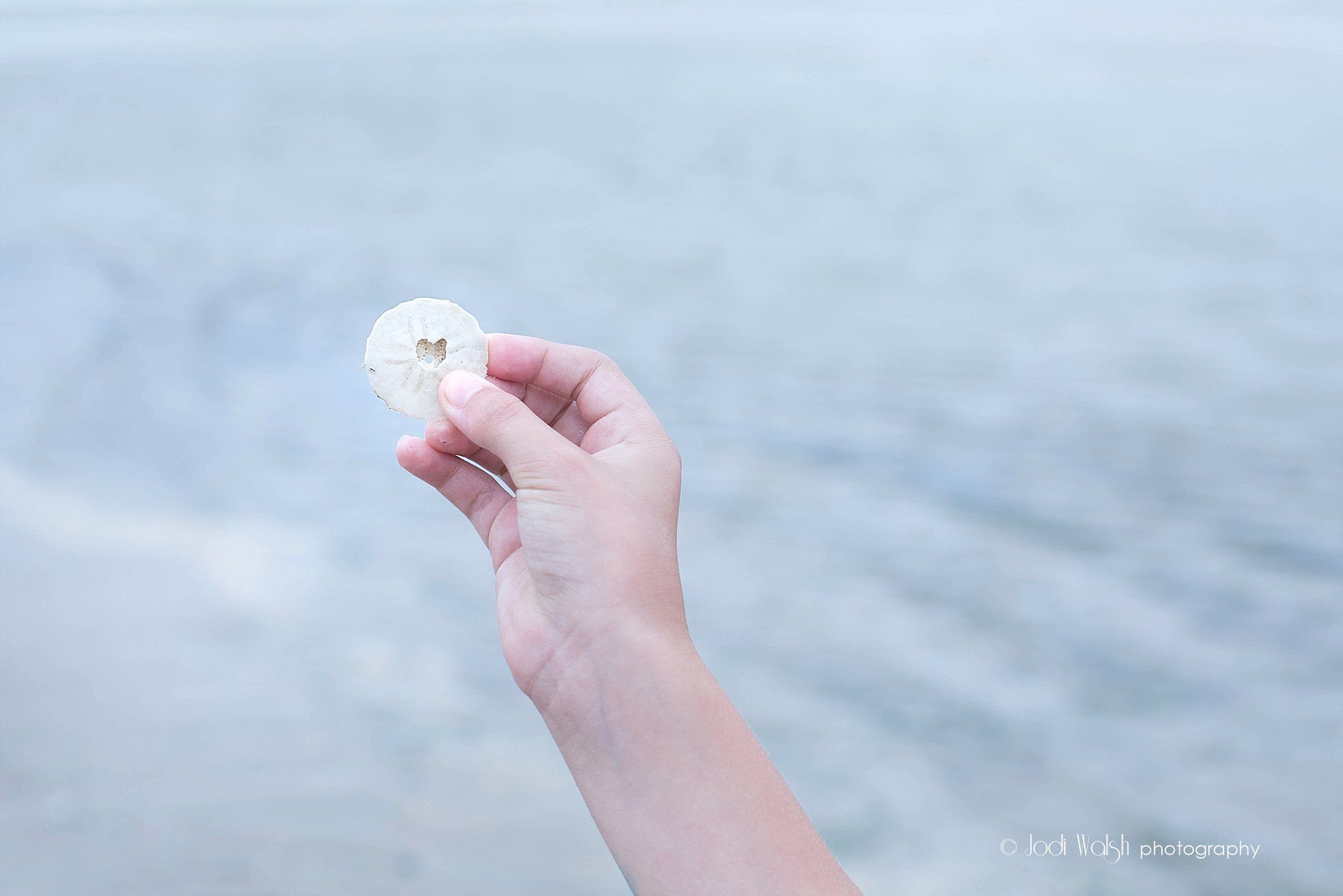 hand holding a sand dollar with a heart shaped hole in the middle
