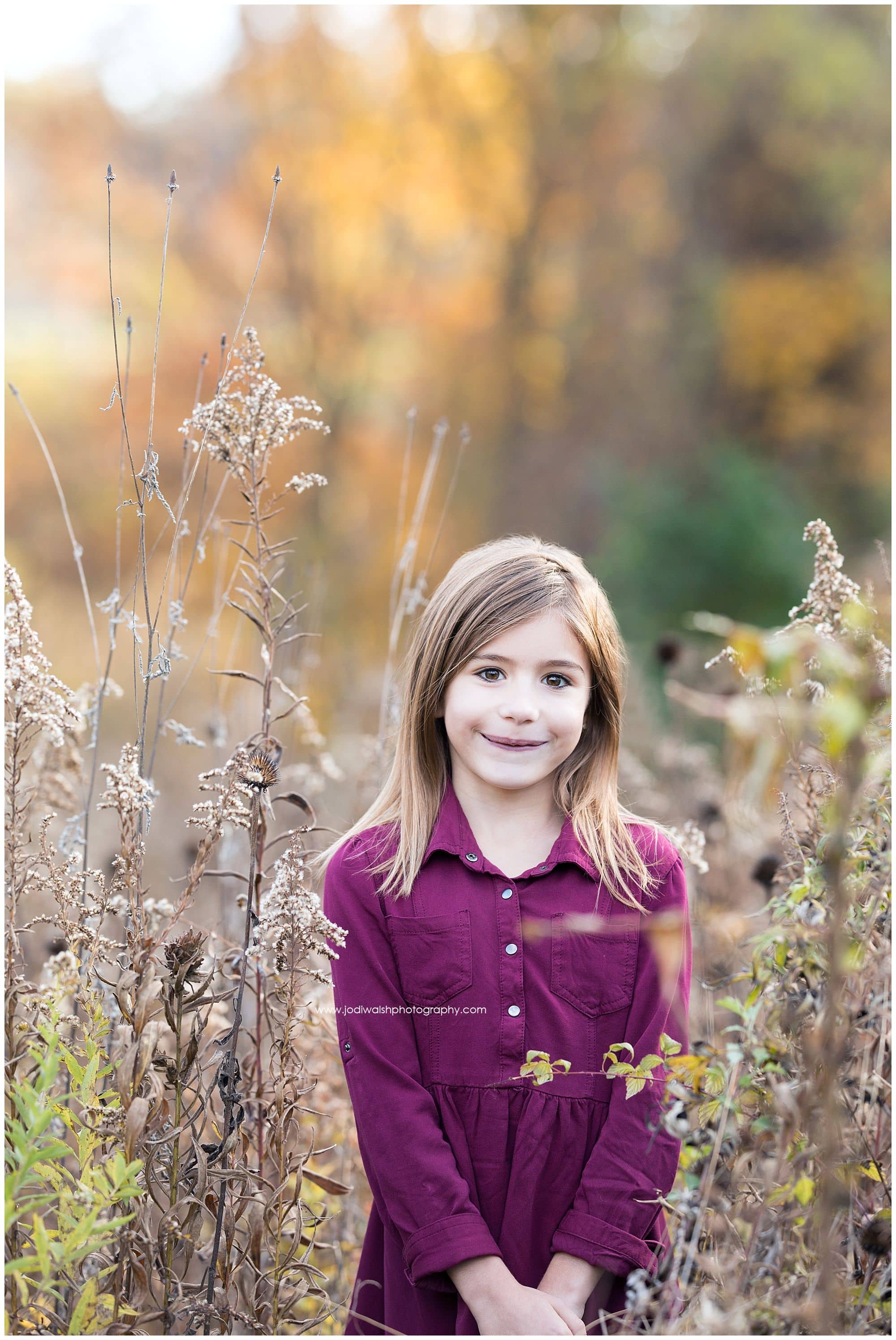 little girl in fall grasses wearing plum dress, Pittsburgh