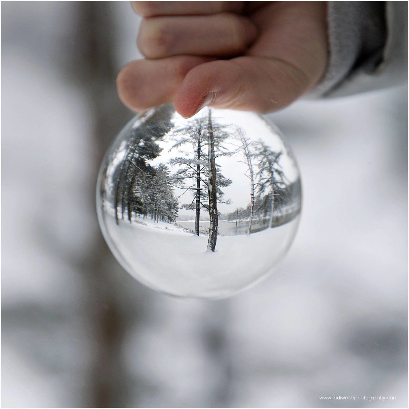 snow day photos with glass lensball showing snow covered trees