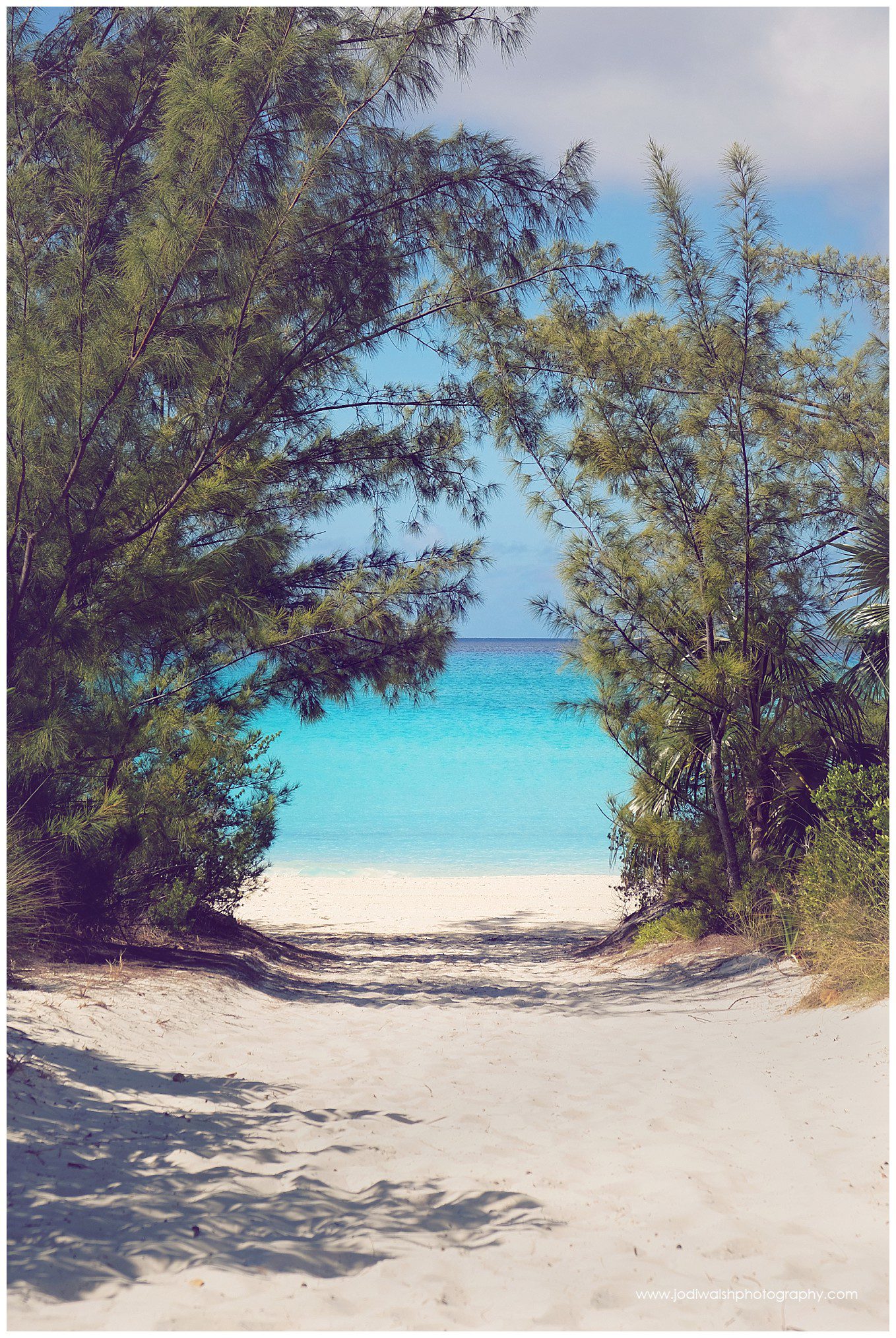 a path to the sea, Half Moon Cay, Bahamas, Joco Cruise 2020